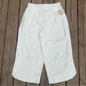 Ryegrass Womens Wide-Leg Crop Rayon Pants Sz L NWT Lined High Rise Cottagecore